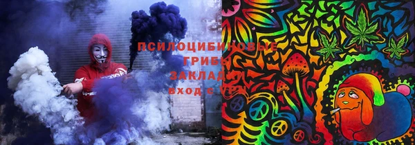 амф Володарск