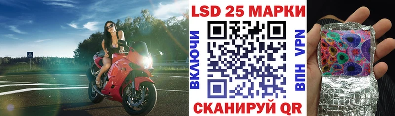 Марки N-bome 1,8мг  где купить наркотик  Каменка 